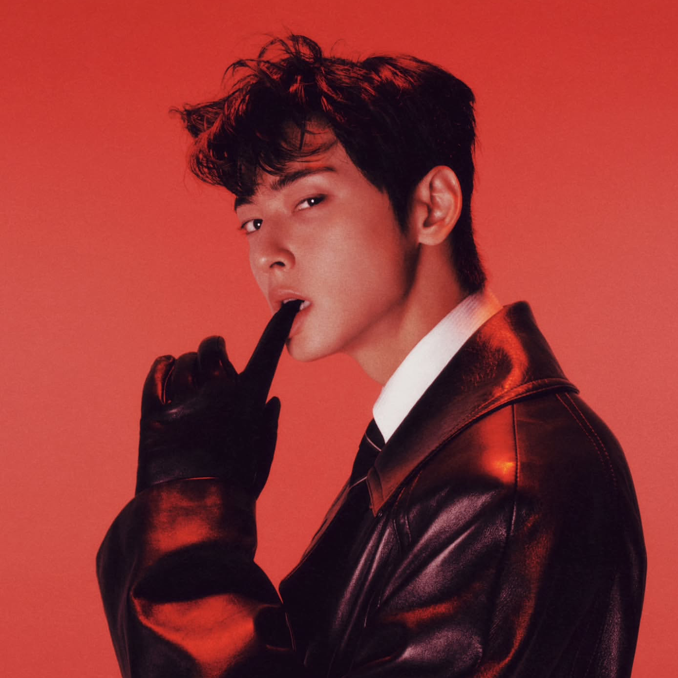 車銀優的最新照片