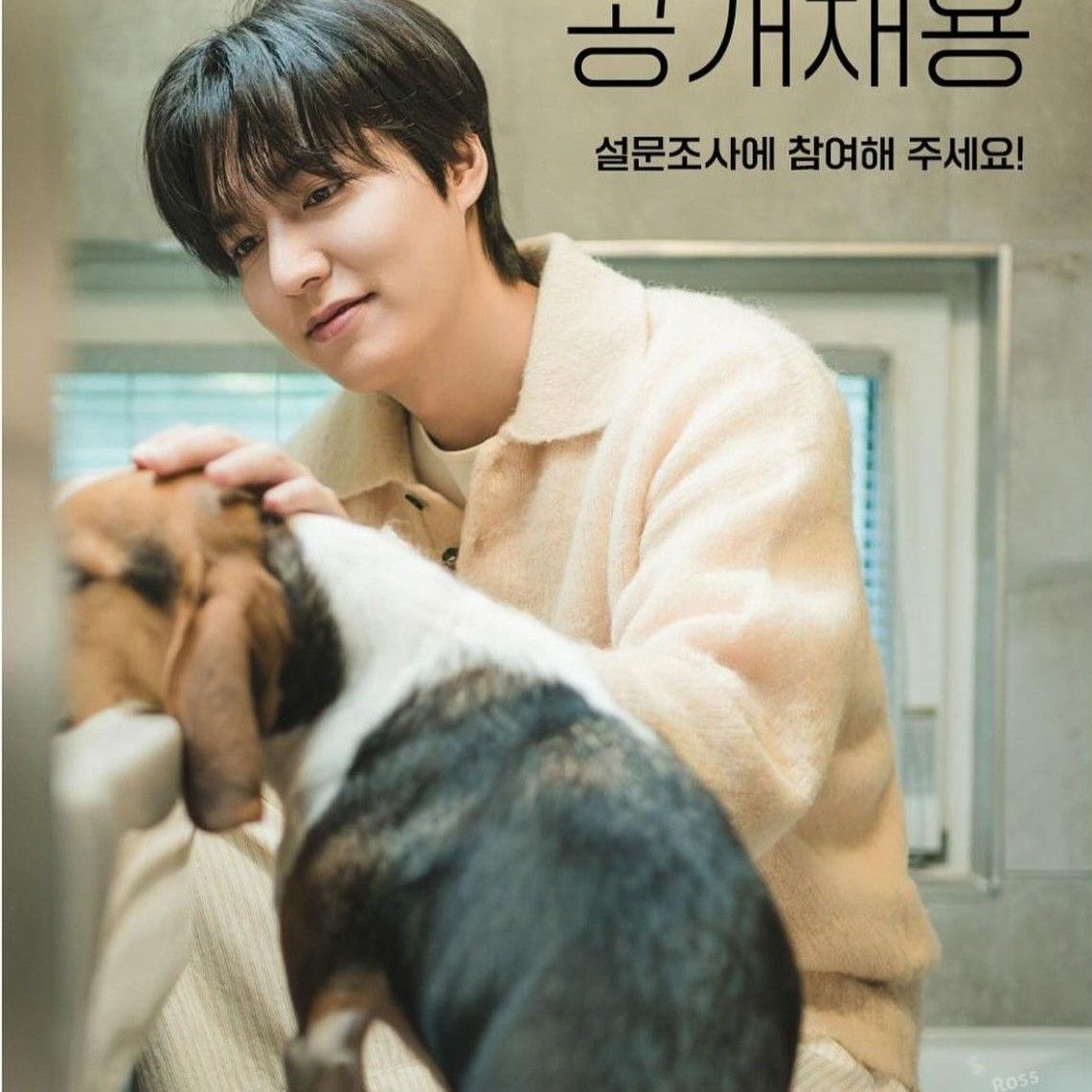 Recent activity shot of Lee Minho