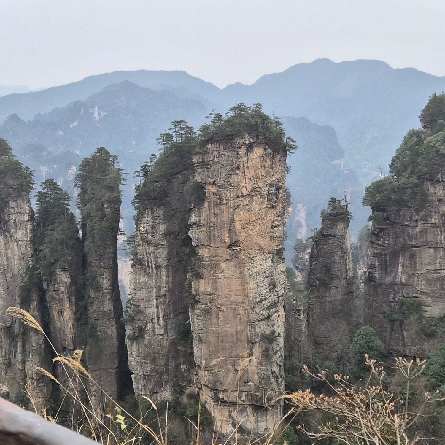 金浩中的最新照片