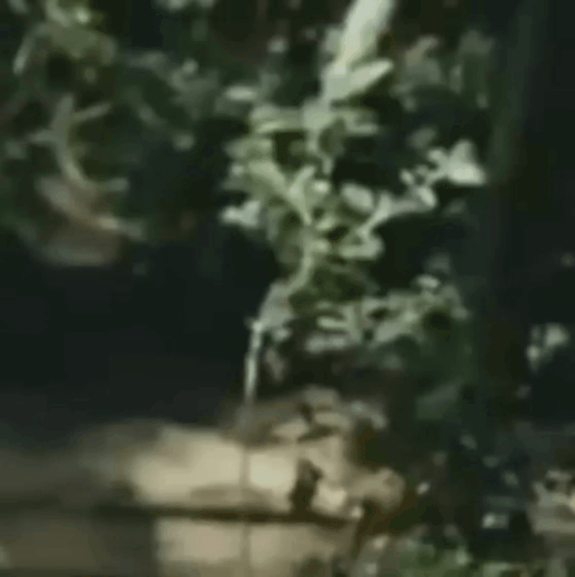 community_articles_contents