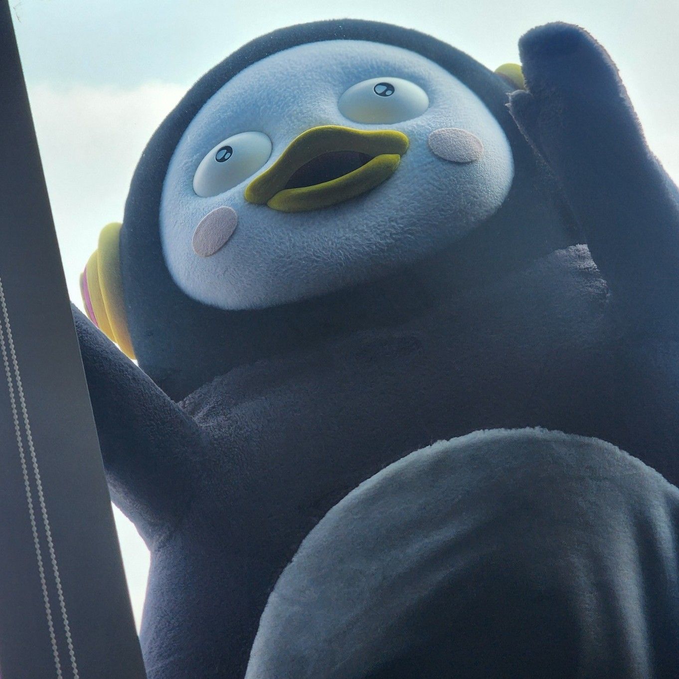 Recent activity shot of Pengsoo