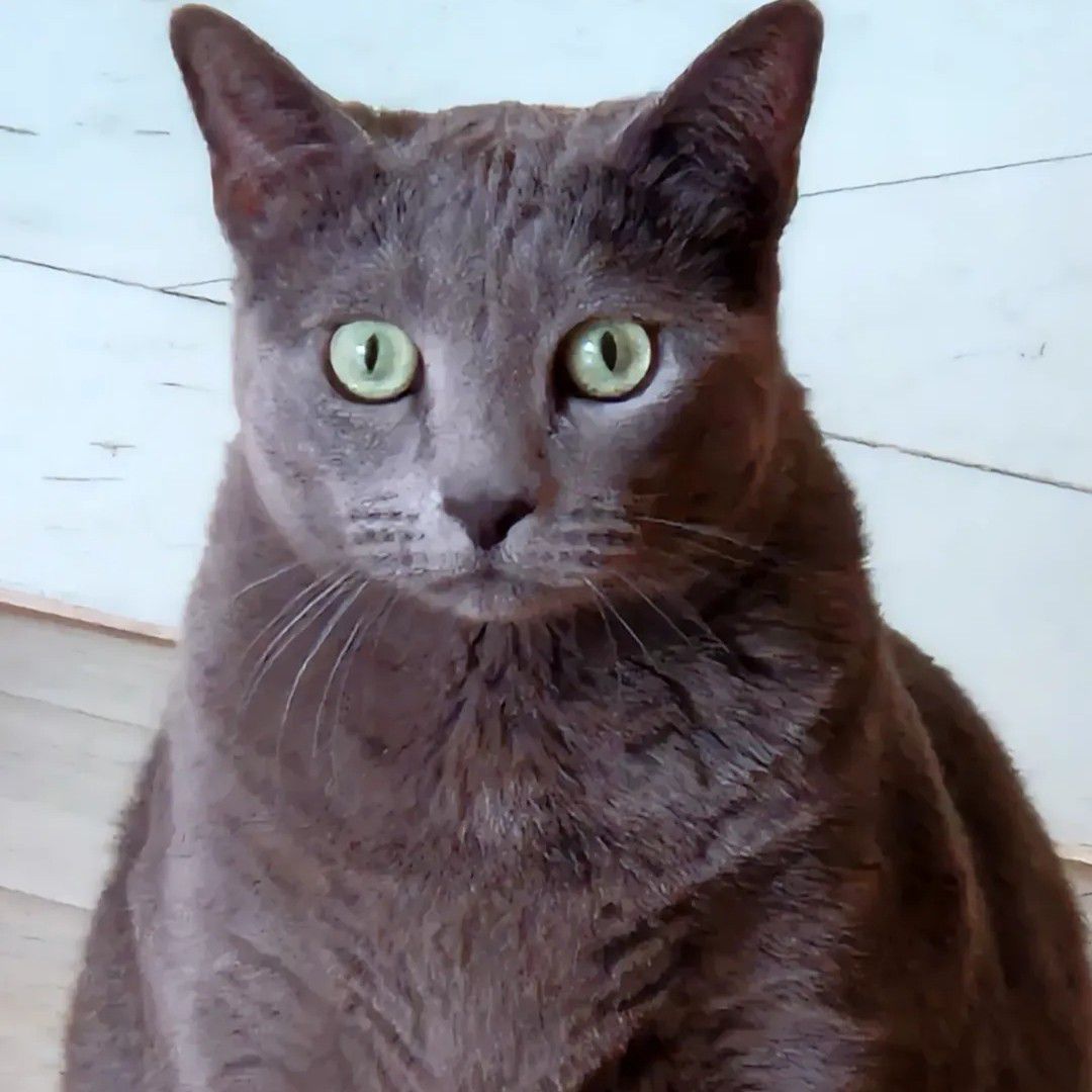 粉絲拍下的徐睿知瞬間