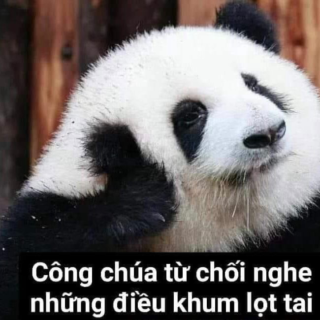 구마유시의 비하인드 컷