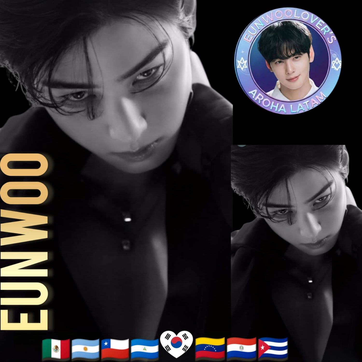 Recent activity shot of Cha Eunwoo