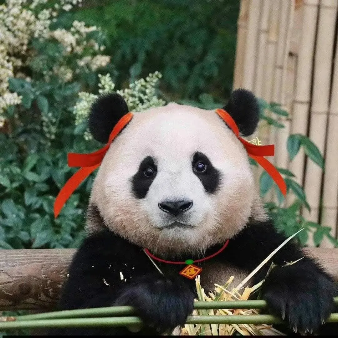 Doran的幕后花絮