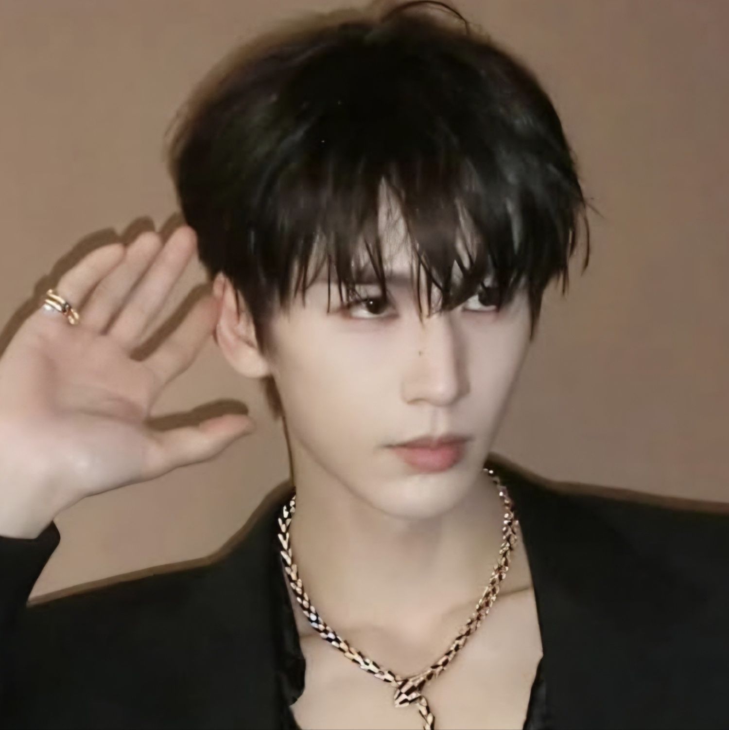 Recent activity shot of Zhang Linghe