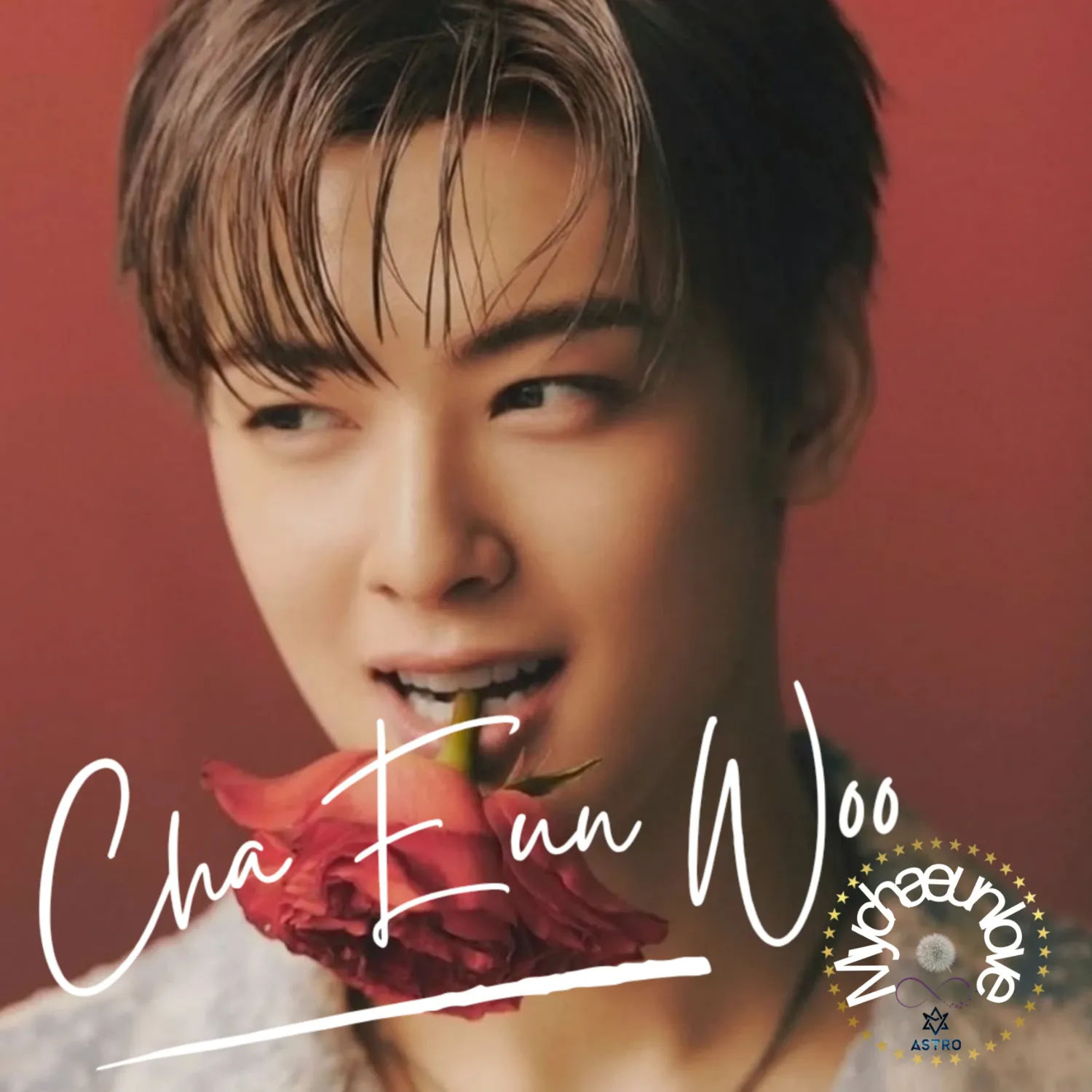 Behind-the-scenes cut of Cha Eunwoo