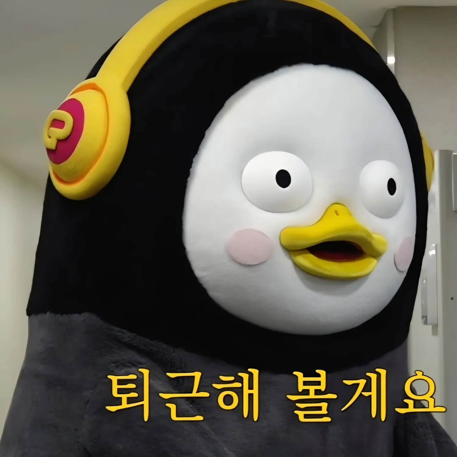 ペンスの最近の活動ショット