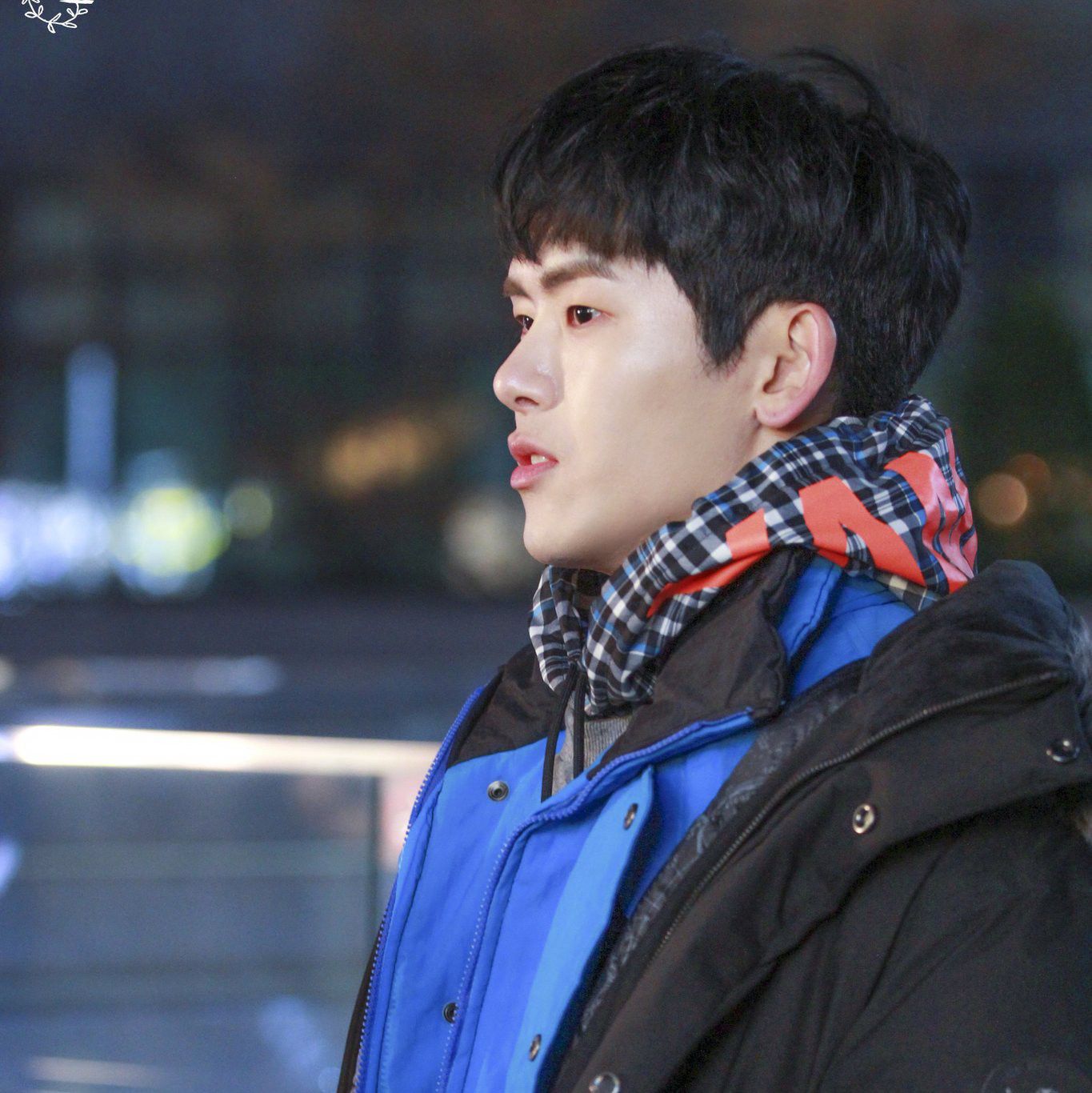 Recent activity shot of Hoya