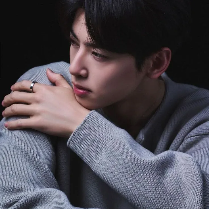 Behind-the-scenes cut of Cha Eunwoo
