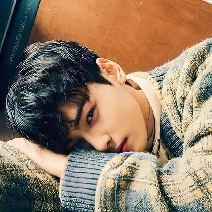 A moment captured by a fan of Cha Eunwoo