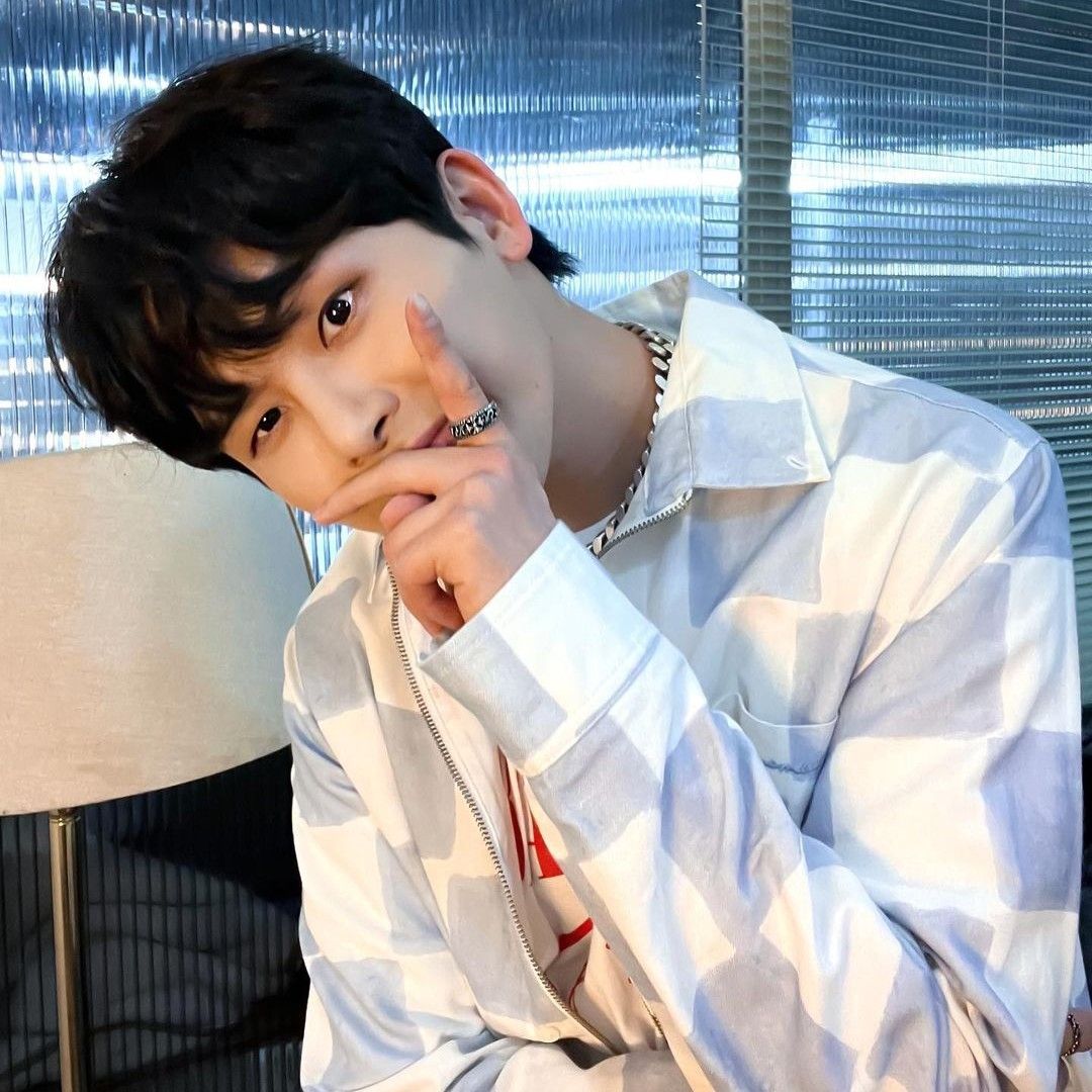 Latest photo of Hoya