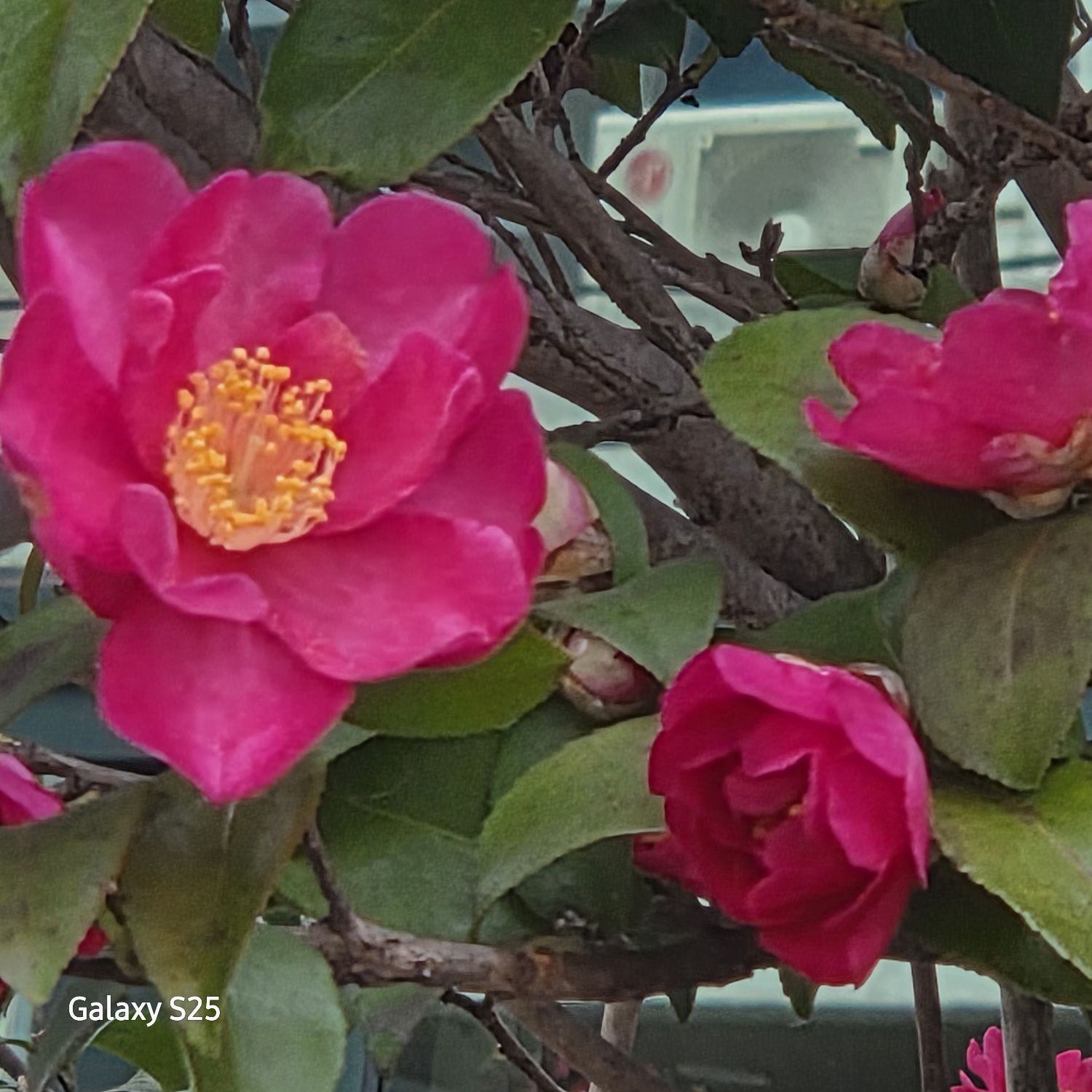 Foto terbaru dari Jang Minho