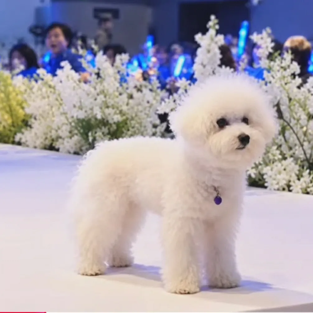Recent activity shot of Jin Haesung