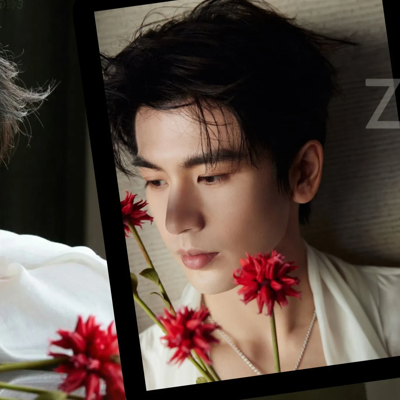Recent activity shot of Zhang Linghe