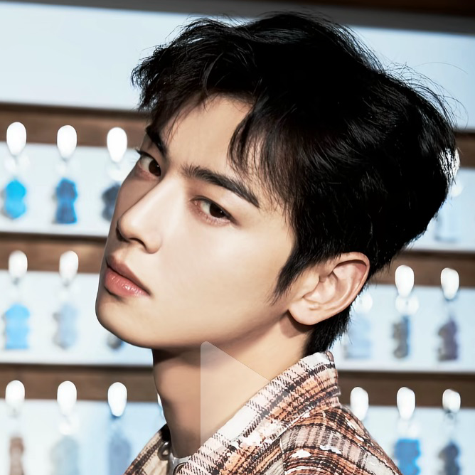 Behind-the-scenes cut of Cha Eunwoo