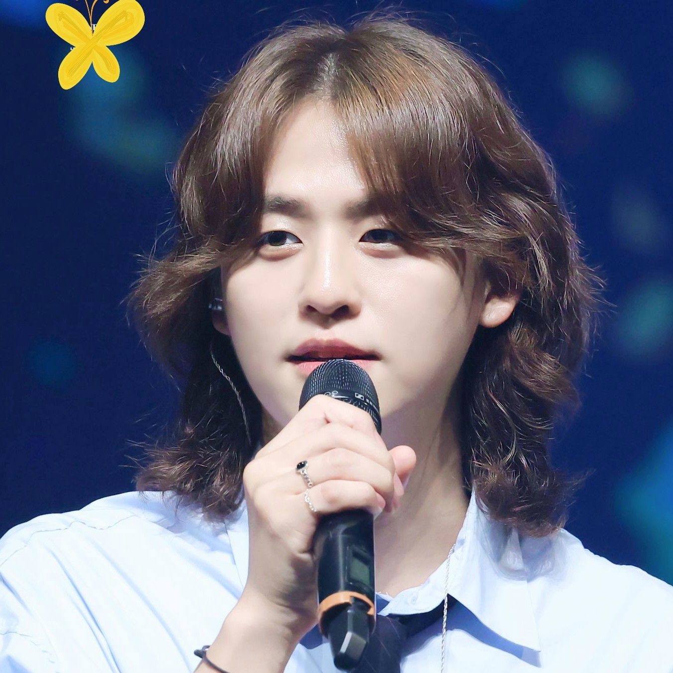 Latest photo of Lee Solomon