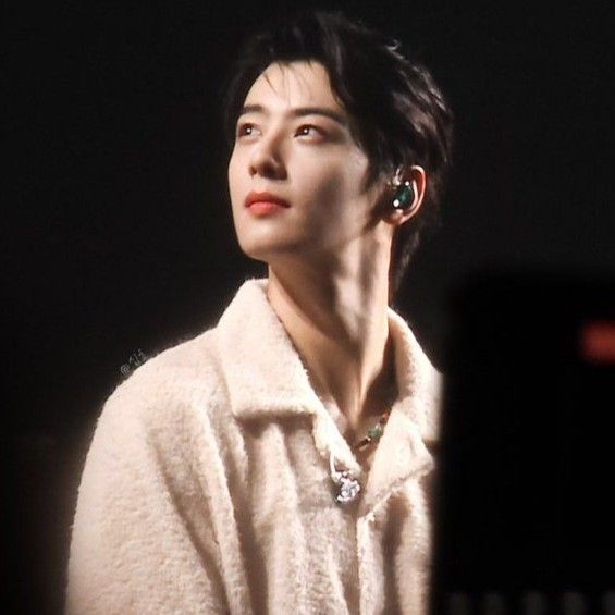 ファンが撮影したチャ・ウヌの瞬間