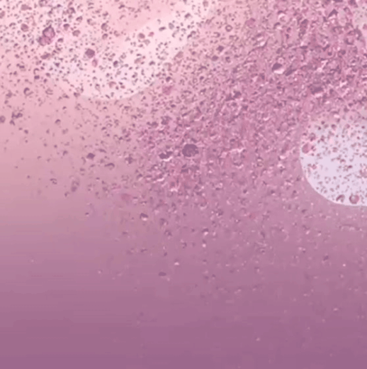 丁海寅的最新照片