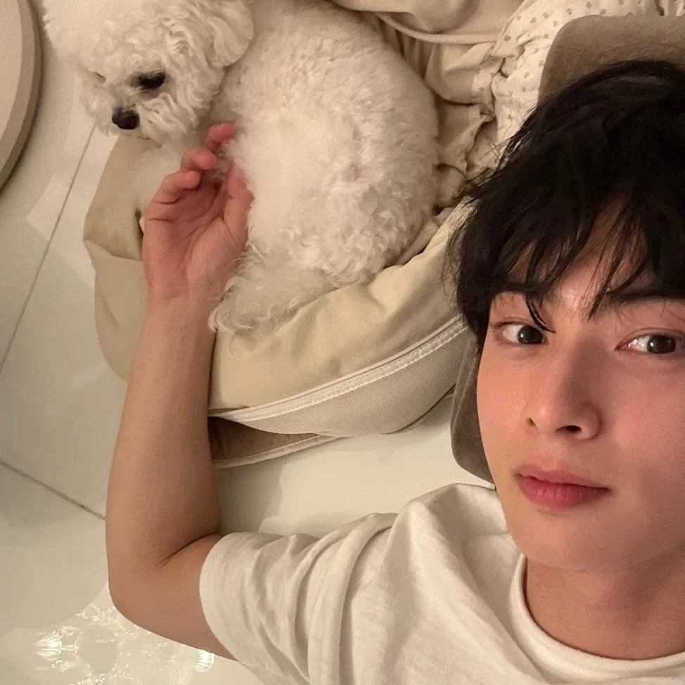 Recent activity shot of Cha Eunwoo