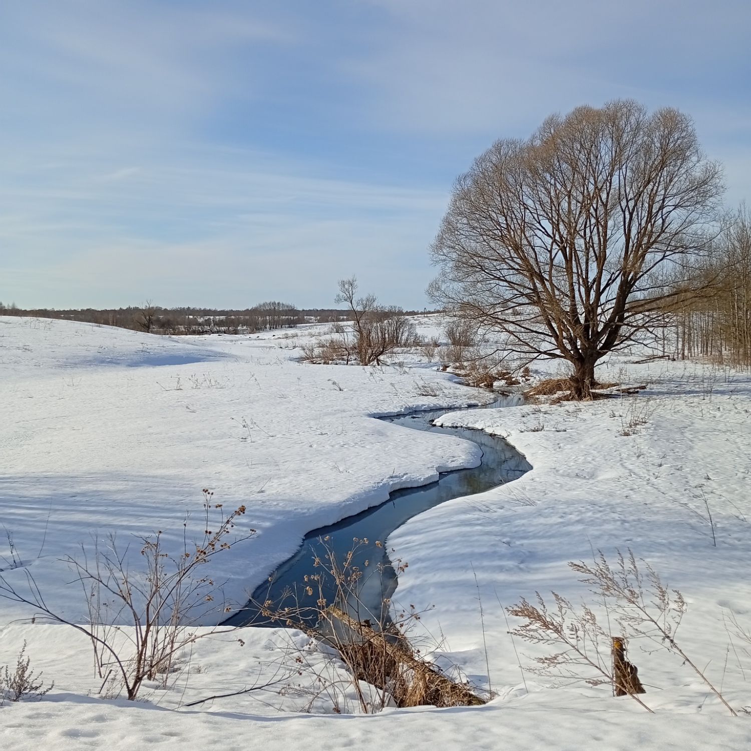 Latest photo of Park Yoochun