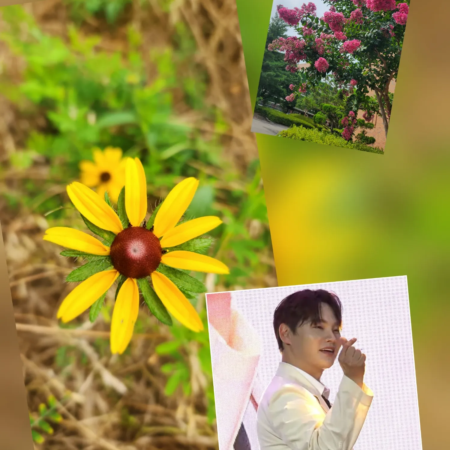 박서진의 비하인드 컷
