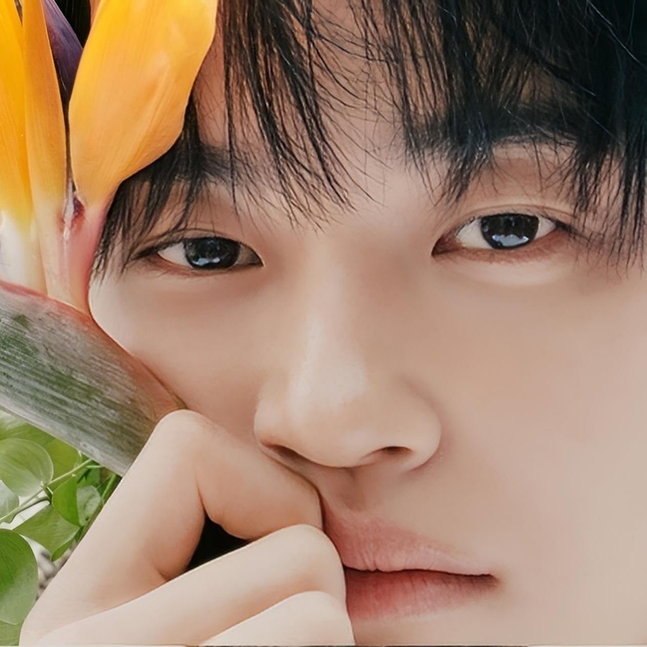 边佑锡的幕后花絮