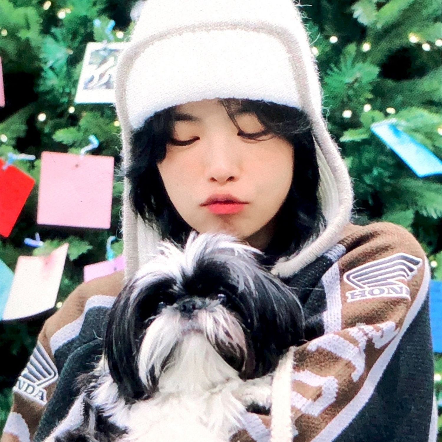 Latest photo of Aiki