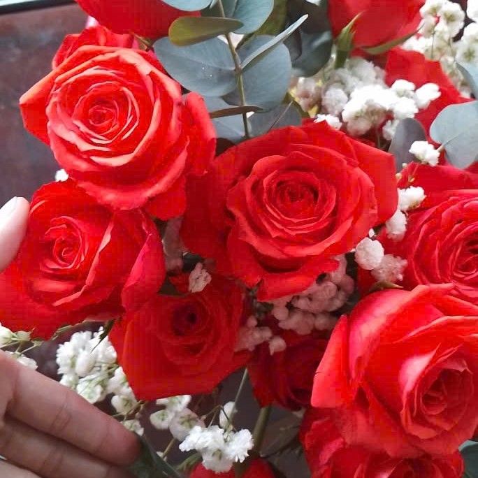 구마유시 팬이 찍은 순간