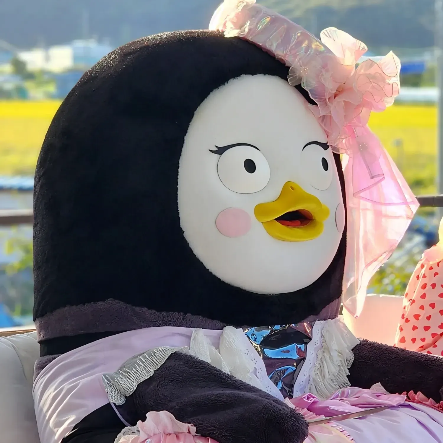 ペンスの最新写真