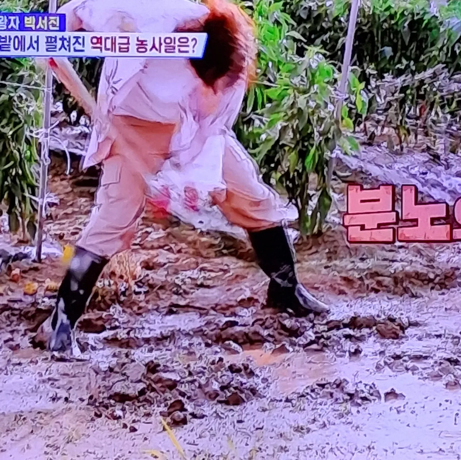 박서진의 비하인드 컷