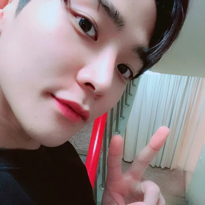 路雲的最新照片