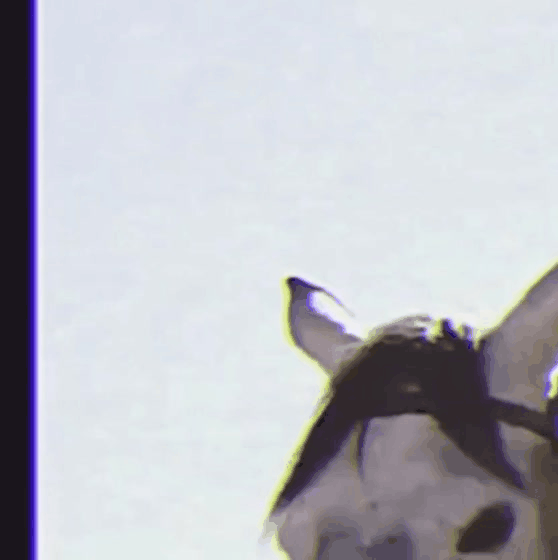 Recent activity shot of Dylan Wang