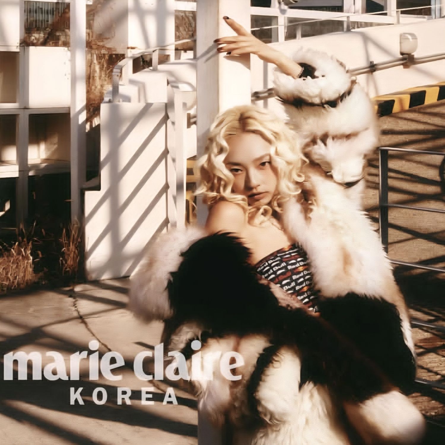 Latest photo of KYOKA