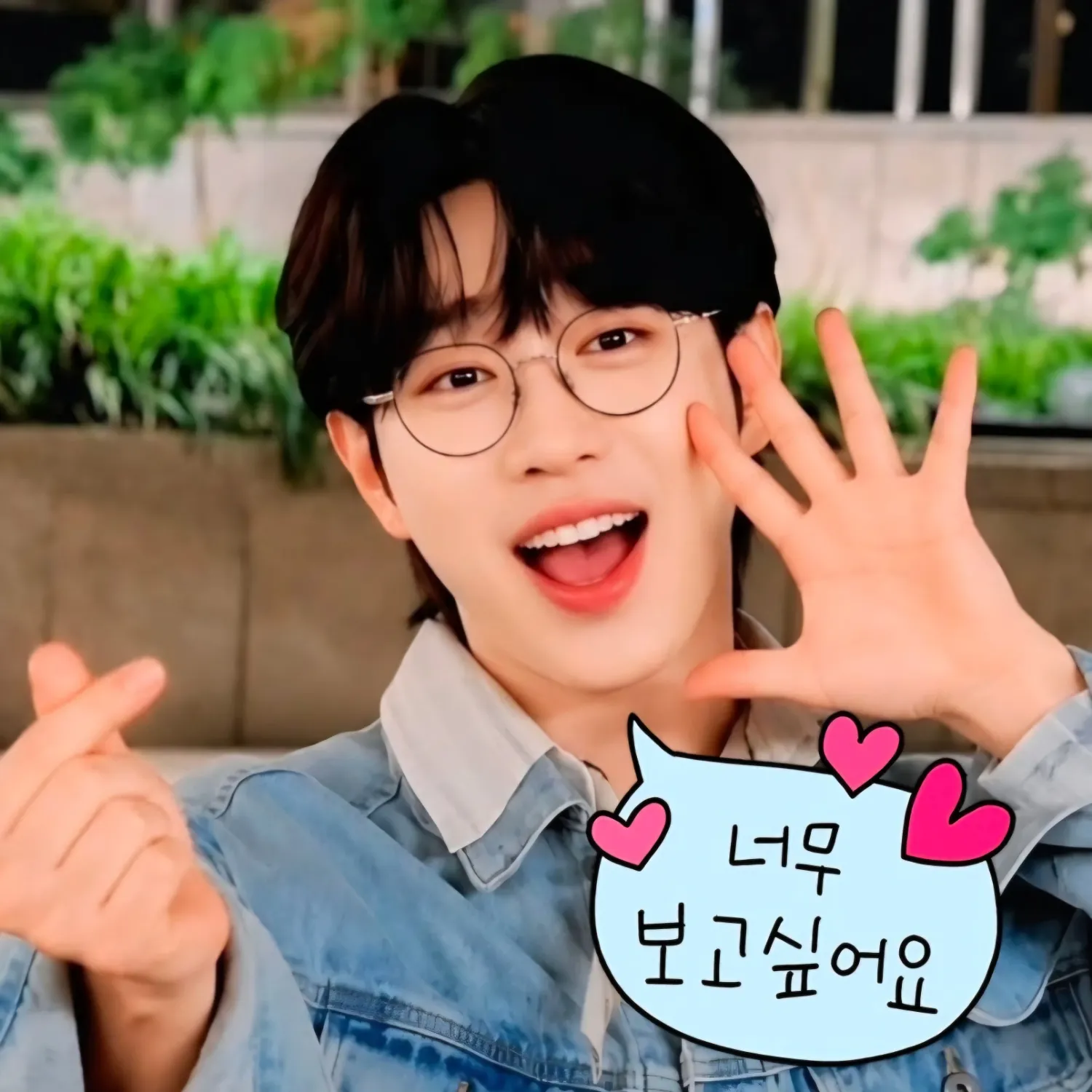 안성훈 팬이 찍은 순간