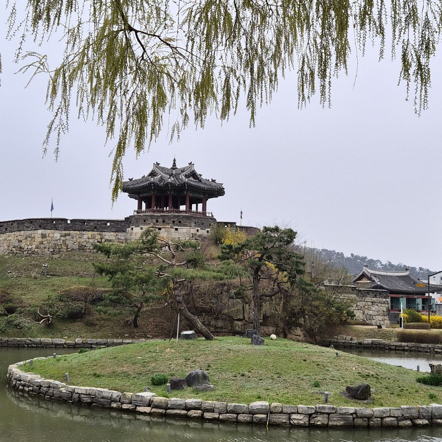 金浩中的近期活动照