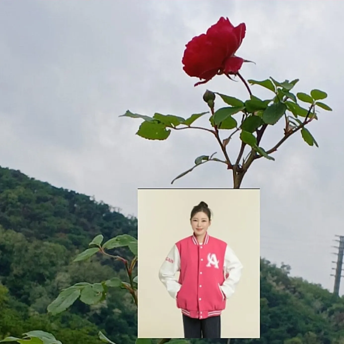 粉丝拍下的宋歌人瞬间