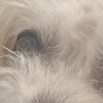 Recent activity shot of Lee Jungha