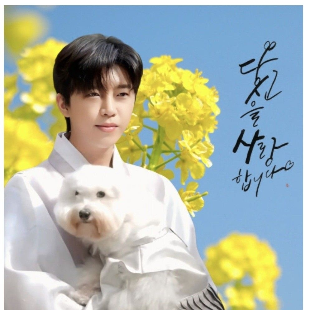 Cuplikan di balik layar dari Lim Youngwoong