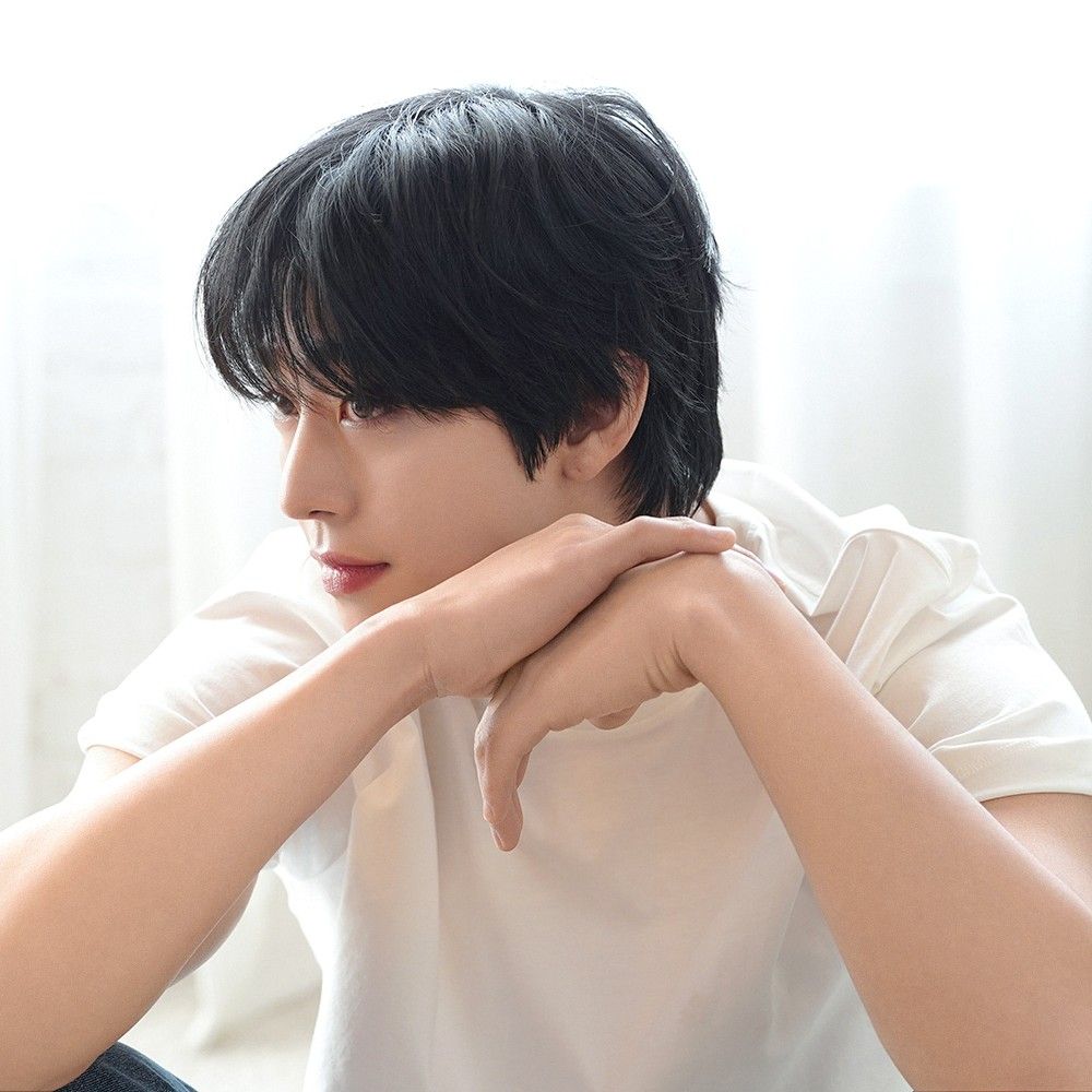 安孝燮的幕后花絮