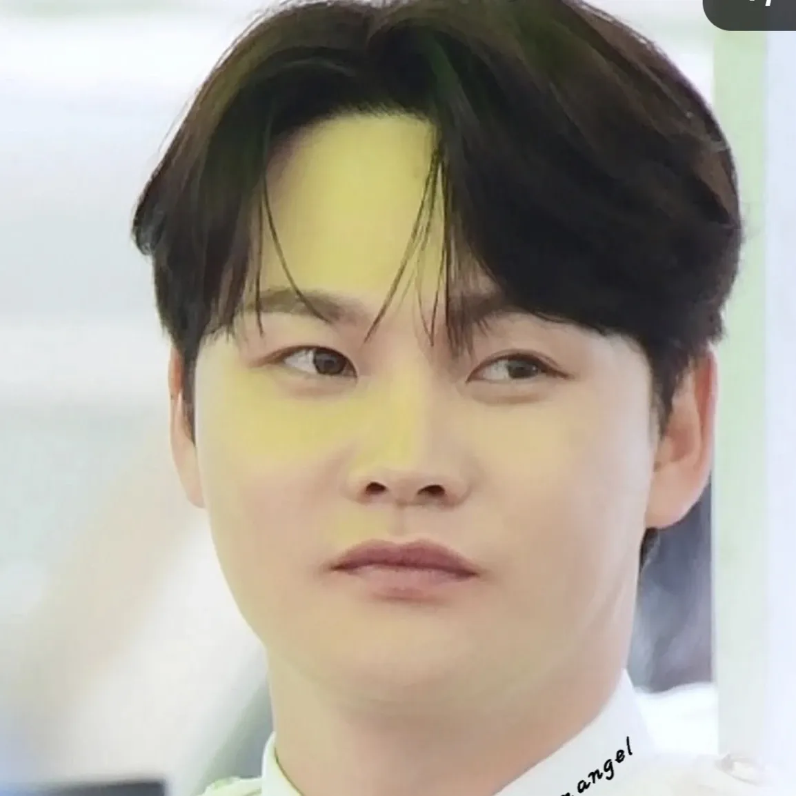박서진 팬이 찍은 순간