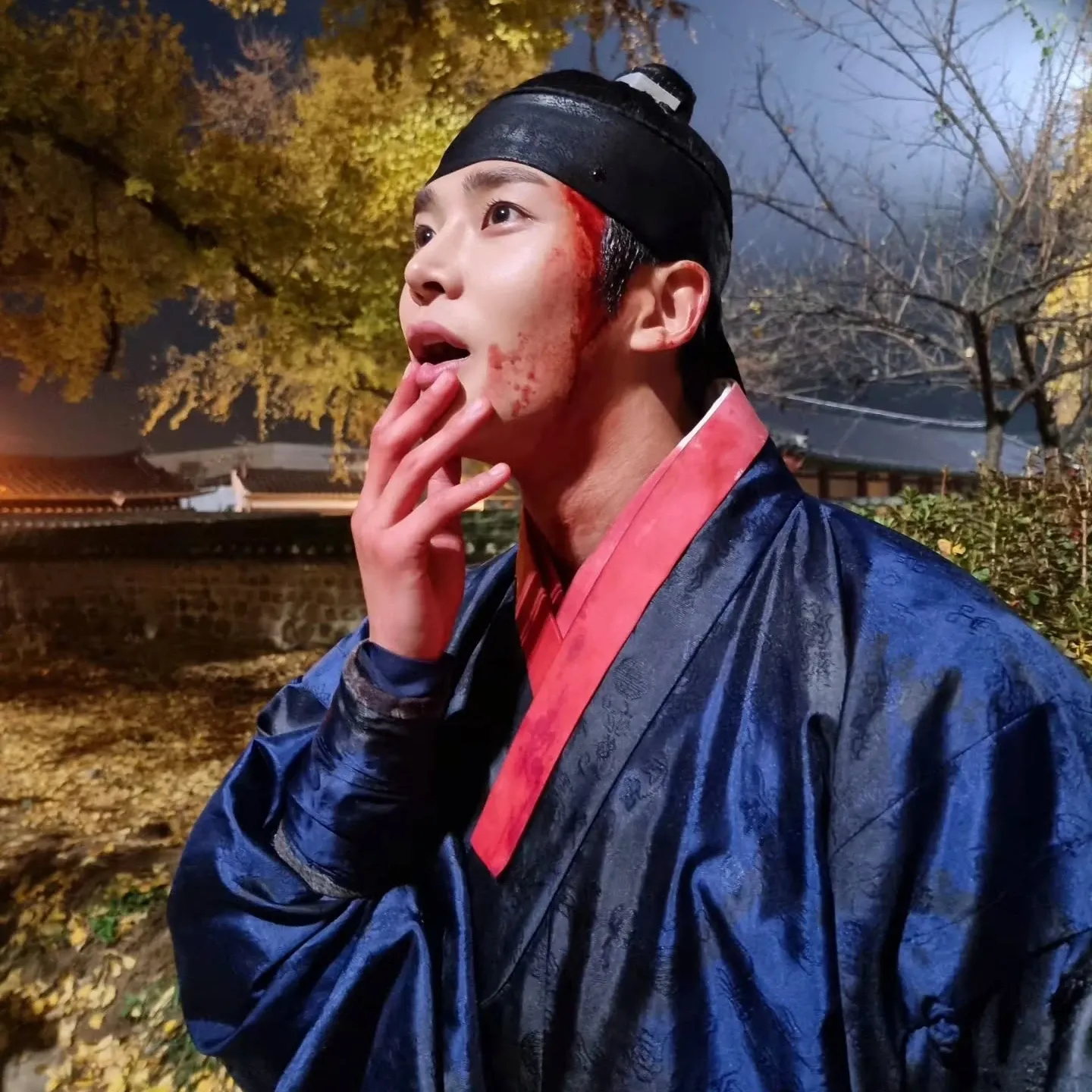 路云的最新照片