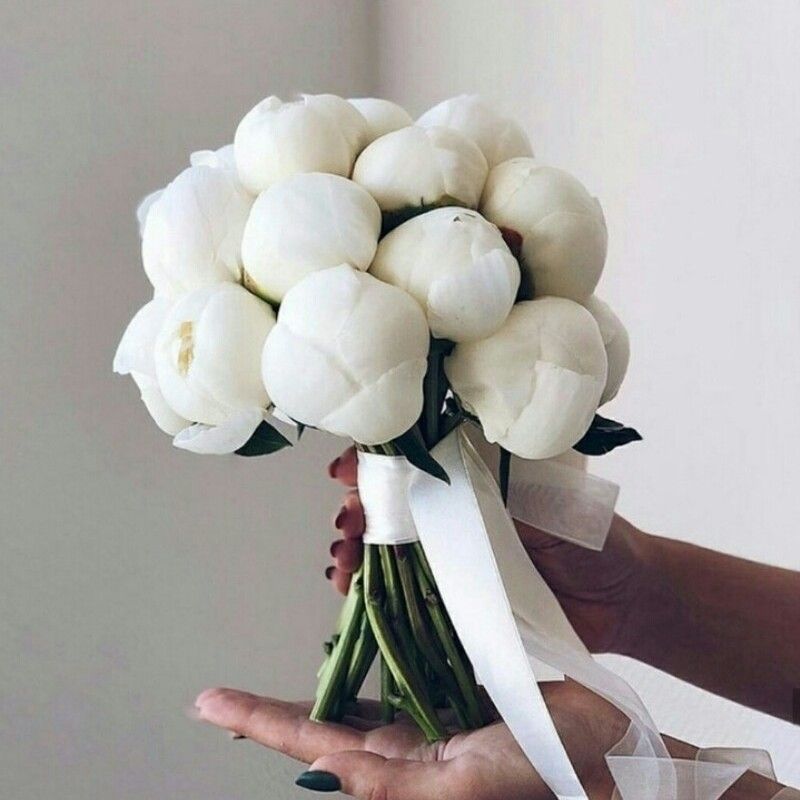 Latest photo of Hwanhee