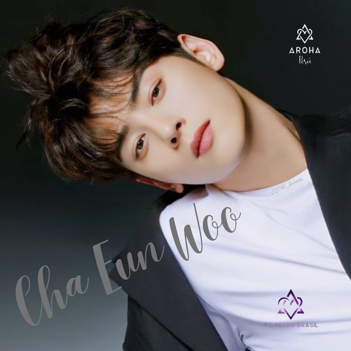 A moment captured by a fan of Cha Eunwoo