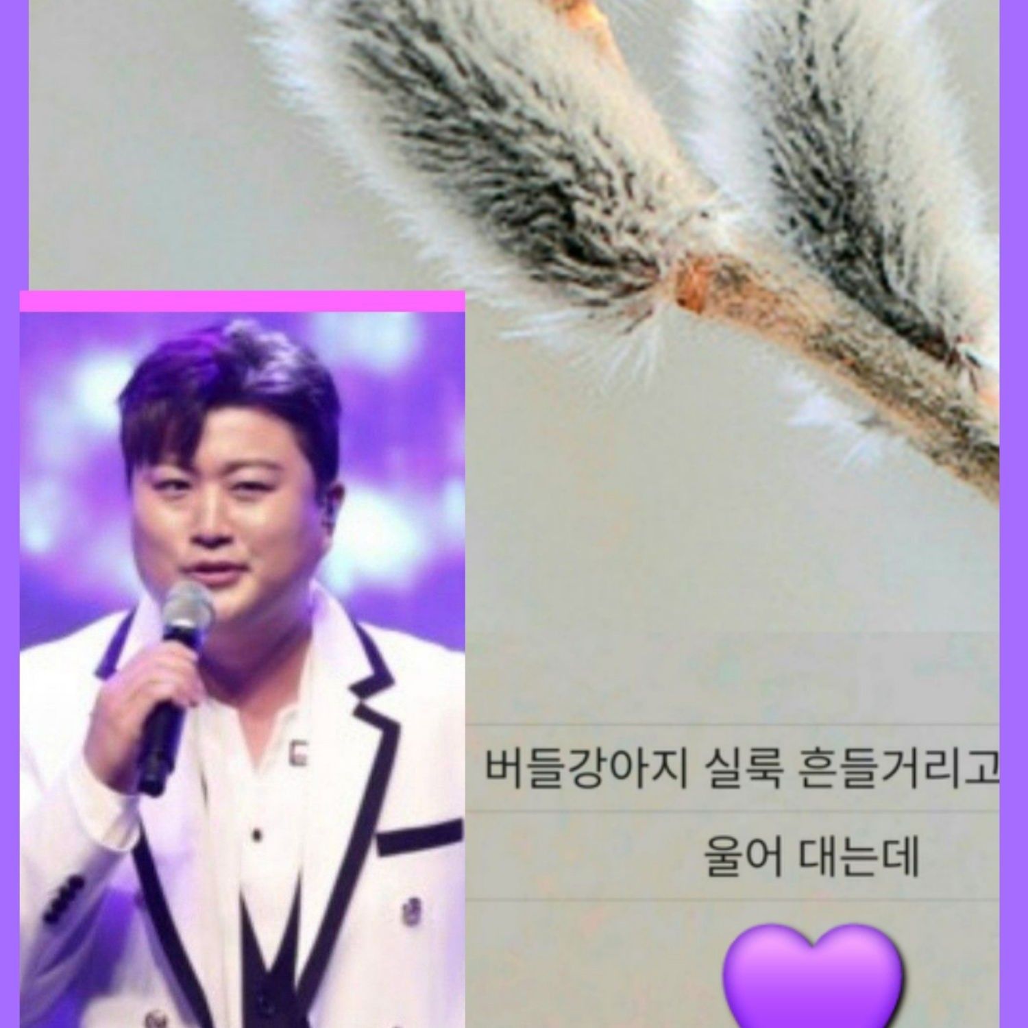 ファンが撮影したキム・ホジュンの瞬間