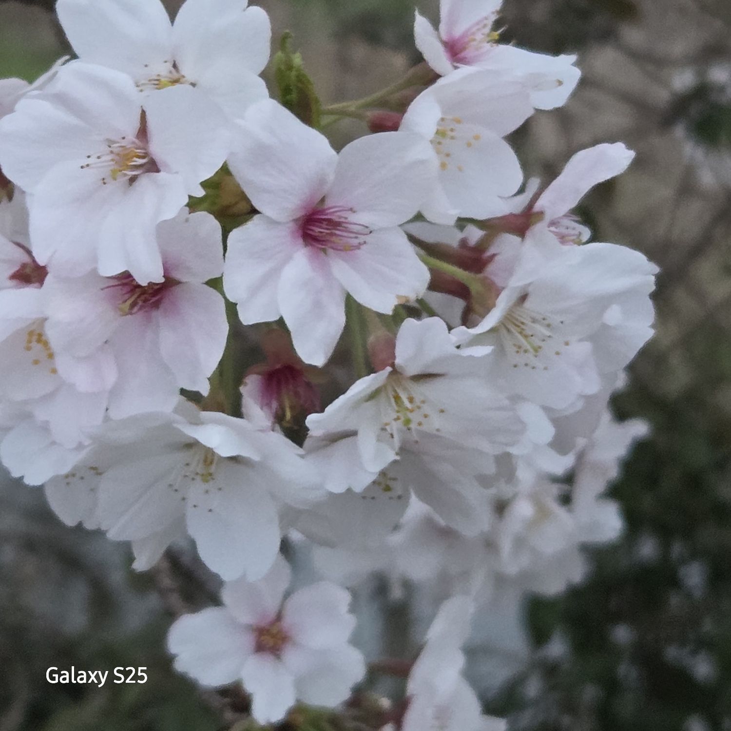 Foto terbaru dari Jang Minho