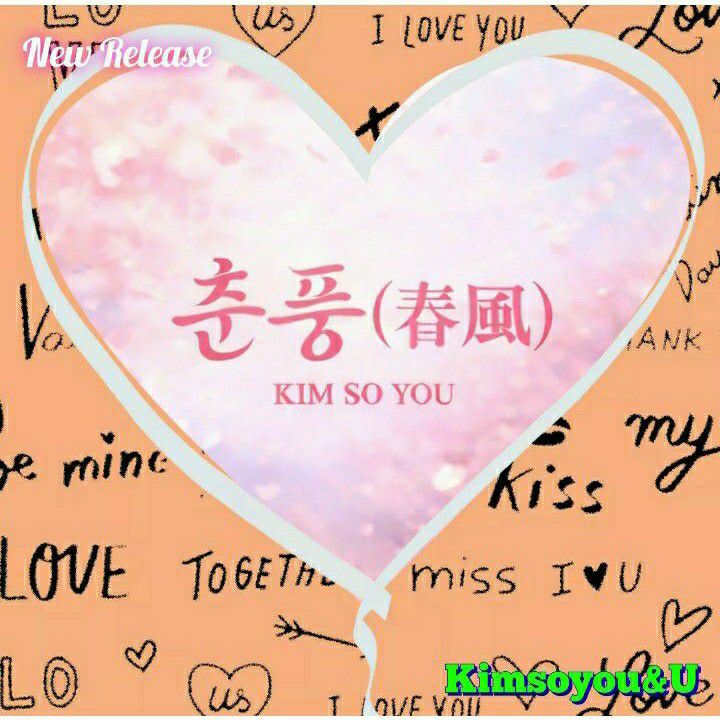 A moment captured by a fan of Kim Soyou