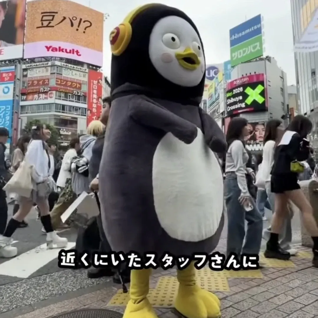 ペンスの最近の活動ショット