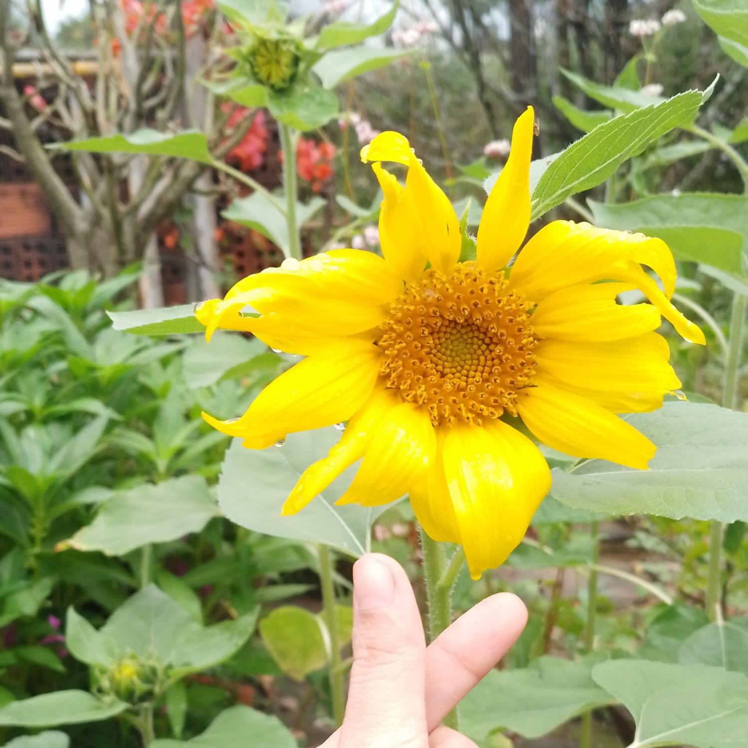 Behind-the-scenes cut of Faker