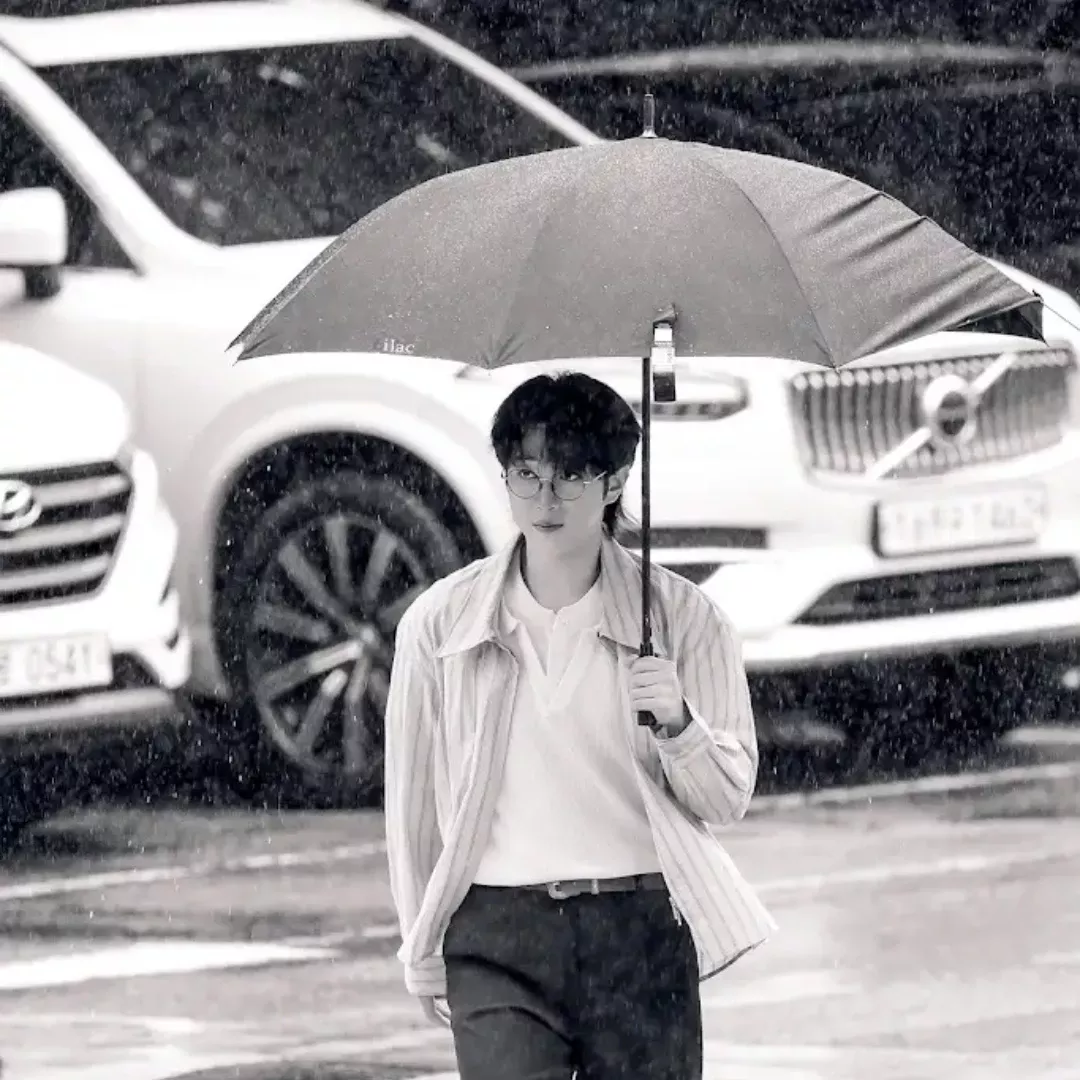 안성훈 팬이 찍은 순간